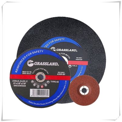 amoladora de ángulo de acero inoxidable del MPA 30grit de 100x3.2x16m m Blade